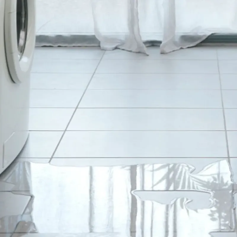 Appliance Leak Cleanup in Lynwood, IL