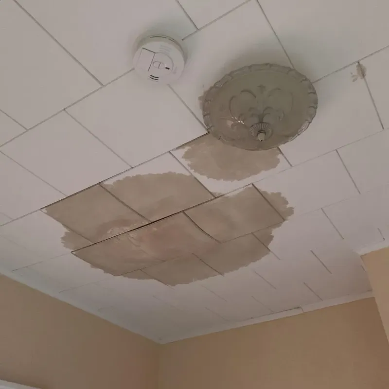 Ceiling Water Damage Repair in Lynwood, IL