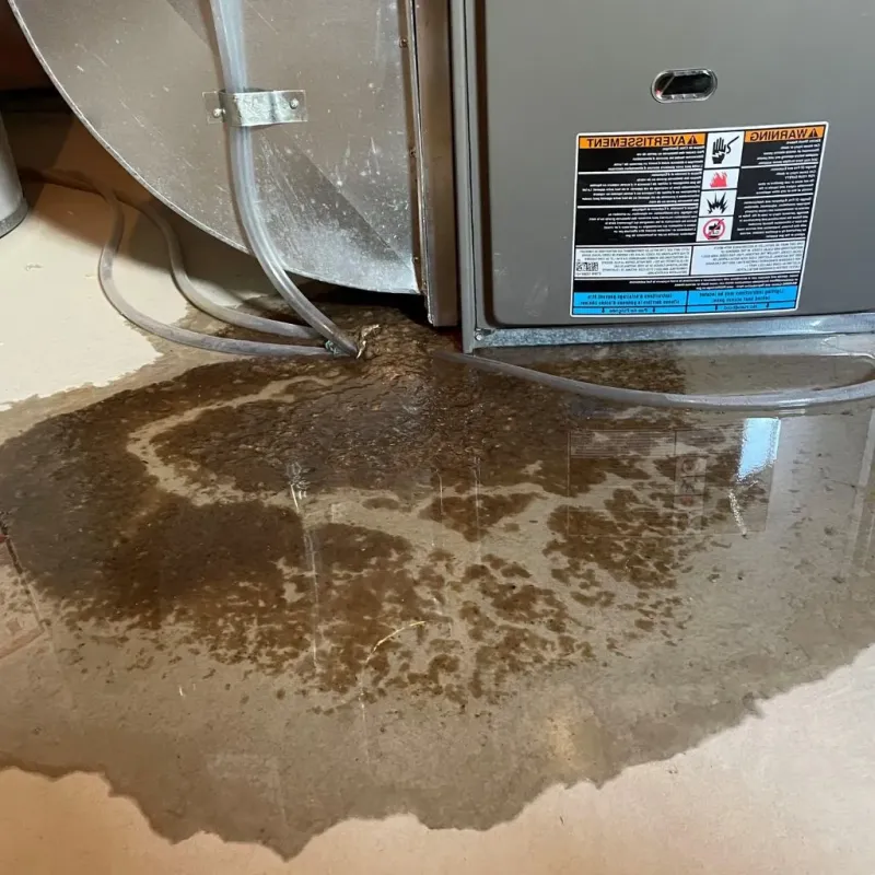 Pipe Burst and Leak Restoration in Lynwood, IL