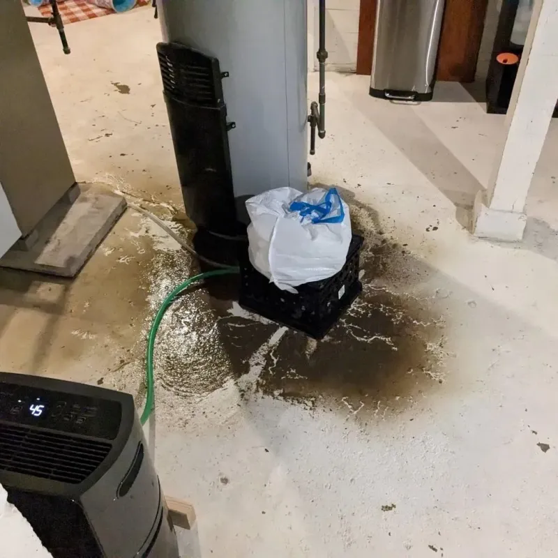 Sewage Backup Cleanup Service in Lynwood, IL
